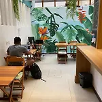 Palace Beach Hostel